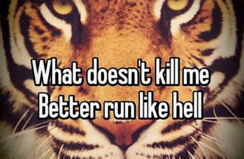 Masters of Money LLC Tiger What Doesn't Kill Me Picture Quote